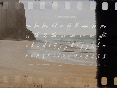 Forgotten Shores | Vintage Handwritten