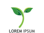 Natural green leaf logo design.