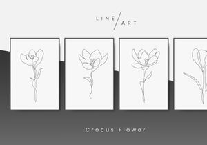 Crocus Flower Line art
