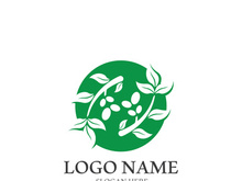 olive icon vector illustration design template