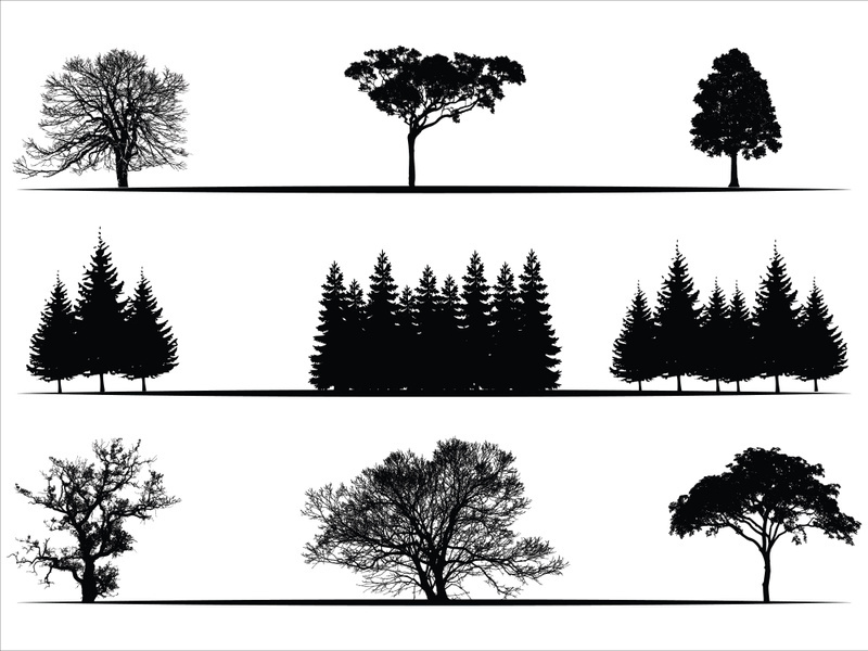 Trees Silhouettes Collection