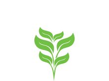 Logos of green tree leaf ecology nature element vector