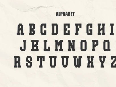 Funky Modern - Vintage Slab Serif