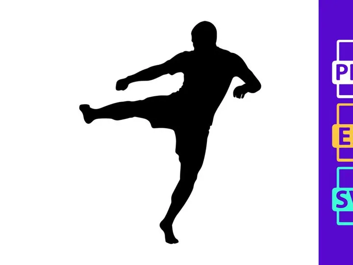 Martial arts silhouette of a person performing a kick