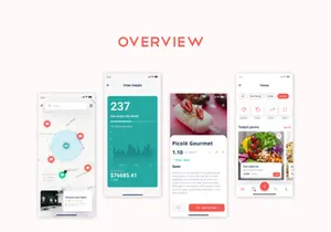Delivery App Ui Kit