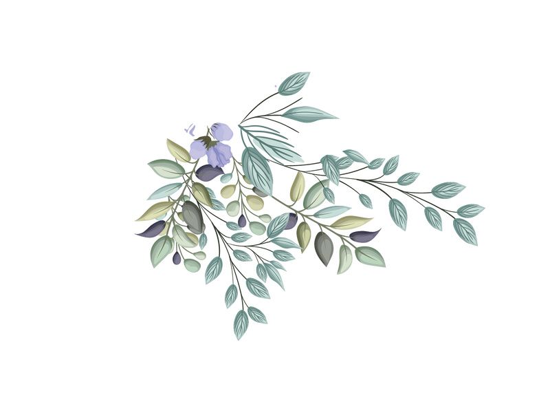 Vector Flower Watercolor Illustration