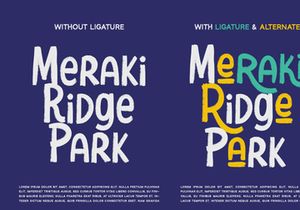 Evergreen - Display Font