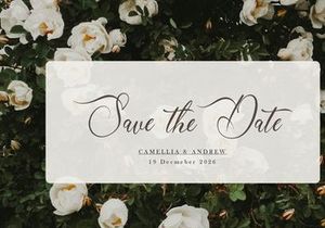 Mallsreya | Beauty Calligraphy Script
