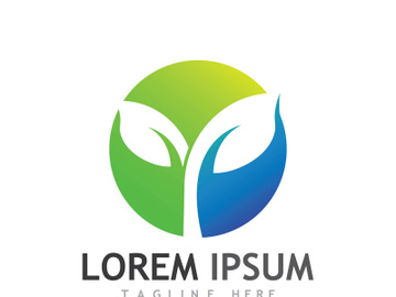 Colorful natural leaf logo design. preview picture