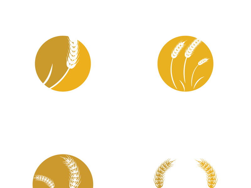 Organic wheat farm logo template.