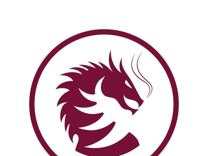Dragon vector icon illustration design logo template
