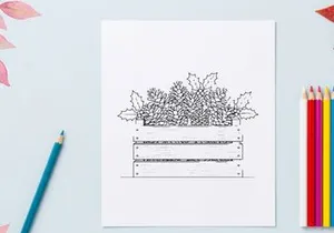 Christmas pine cones and holly leaves in a wooden crate line art illustration