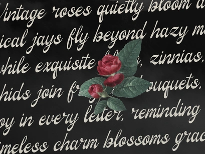Marcella Wishes | Vintage Script