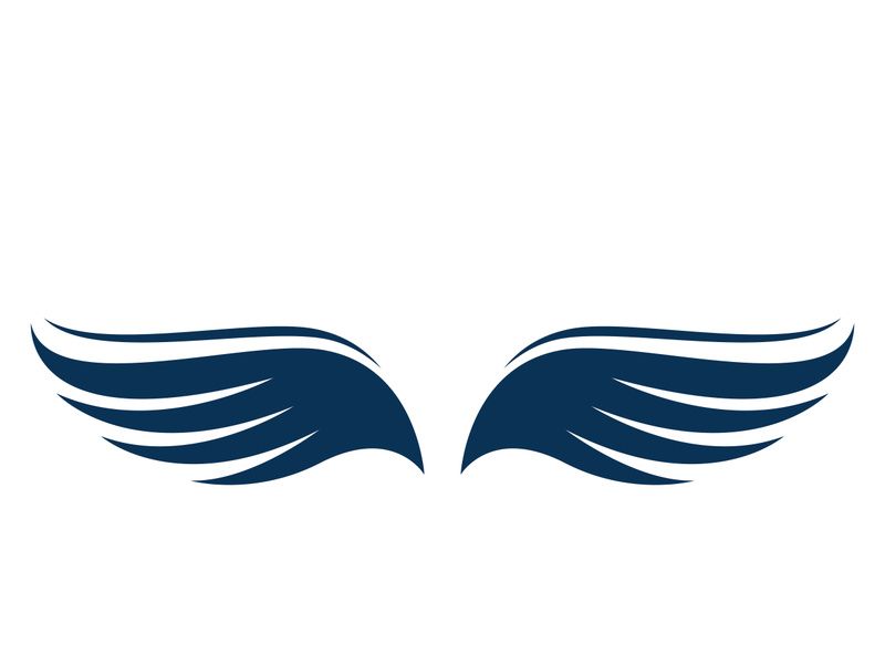 Wing bird logo vector