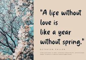 Vibrancy - Display Font