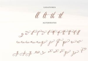 Wenstormy | Calligraphy Script