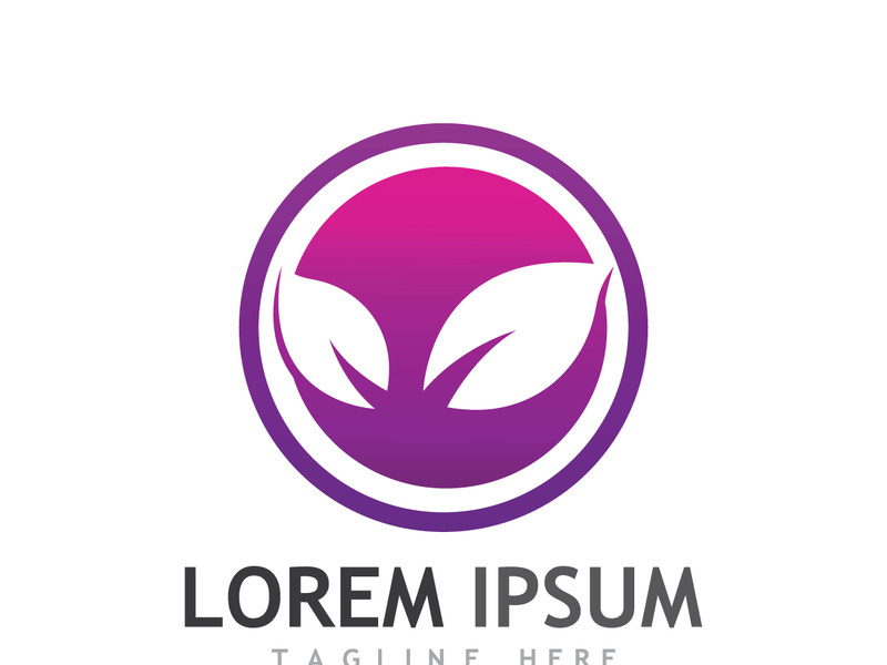 Colorful natural leaf logo design.