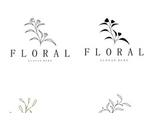 Elegant floral and leaf frame. Delicate botanical vector illustration for labels, spas, corporate identity, and wedding invitations