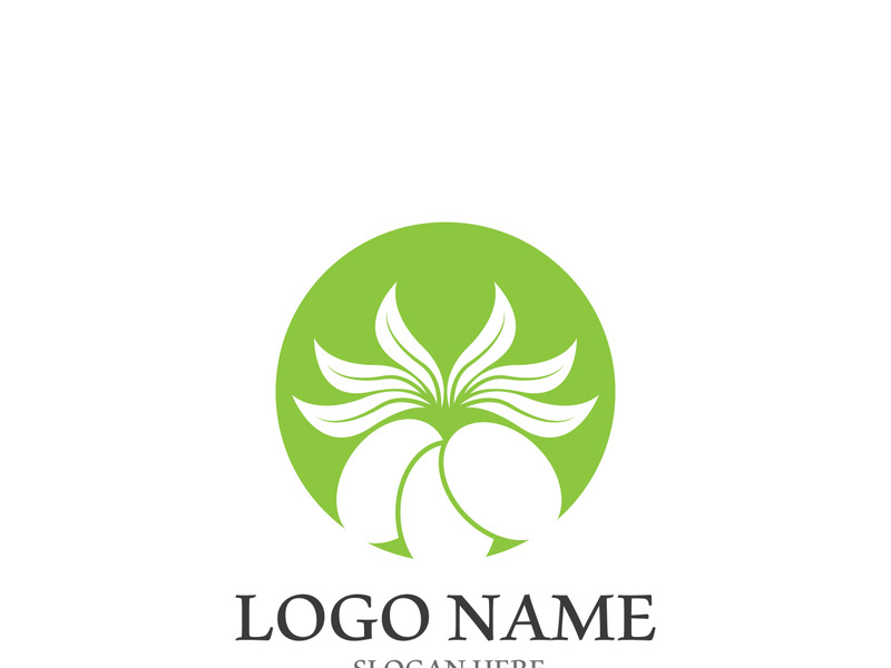 Extra virgin olive oil logo icon design vector illustration