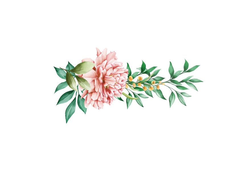 Vector Flower Watercolor Illustration