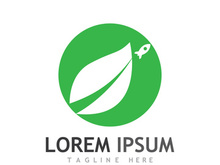 Natural green leaf logo design.