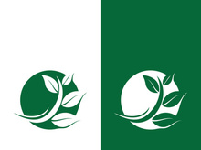 Green tree leaf nature logo images illustration design