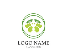 olive icon vector illustration design template