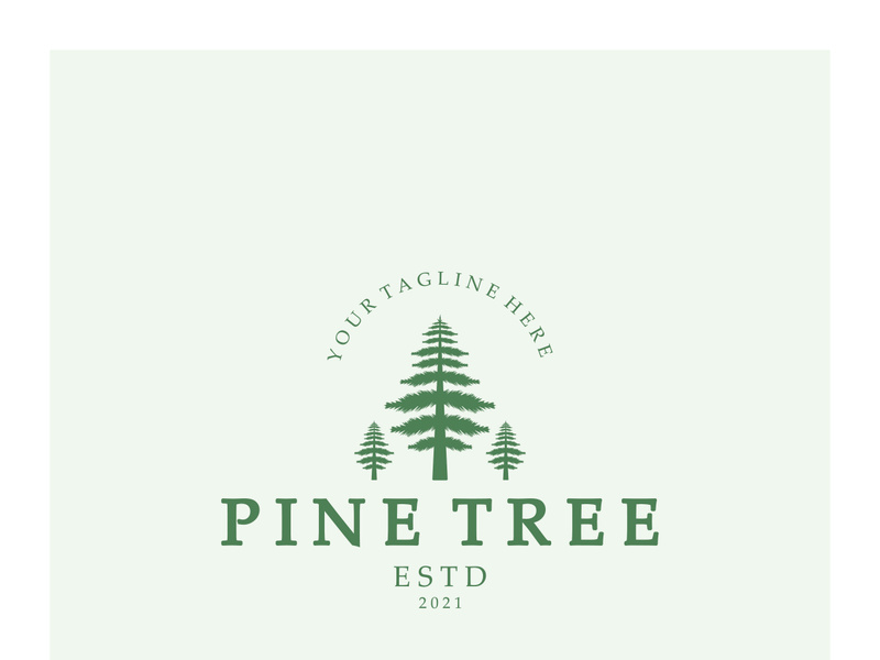 simple pine or fir tree logo,evergreen.for pine forest,adventurers,camping,nature,badges and business.vector