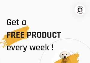 Mascota | WordPress Theme For Petcare