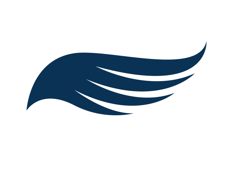 Wing bird logo vector