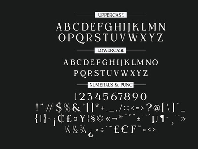 Beqiner Elegant Serif Typeface