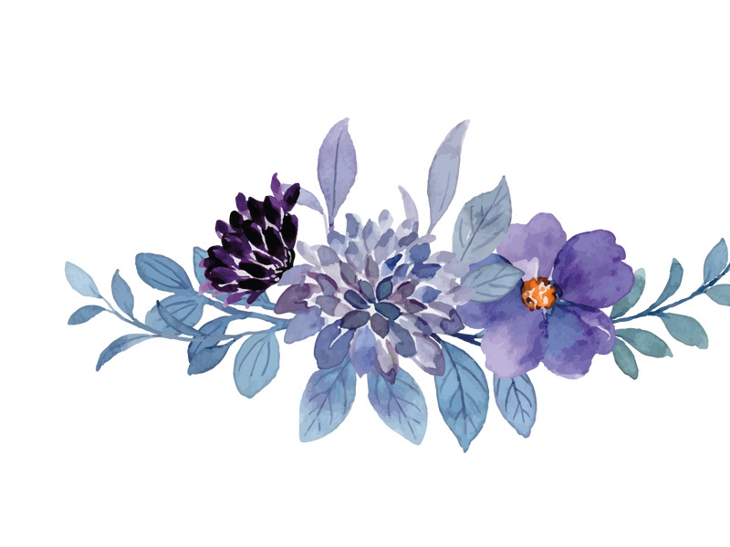 Vector Flower Watercolor Illustration by Gold_Finch_Studio ~ EpicPxls