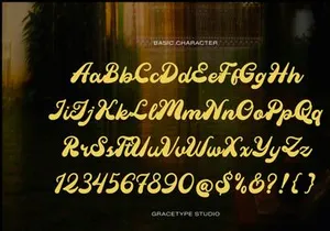 Mainer Wisdom | Retro Bold Script