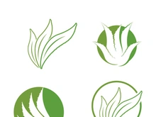 Aloe Vera logo icon design symbol beauty skin care