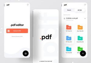 PDFor v1.0 - Wp Pdf Viewer v1.0 - The Best plugin for WordPress CMS
