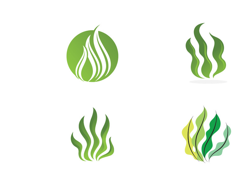 seaweed sea of nature logo vector illustration design