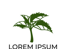 Green leaf logo design vector illustration
