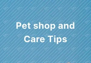 Hayvon - Pet Shop Grooming Mobile App