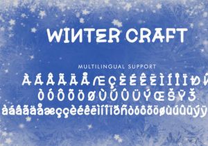 Winter Craft