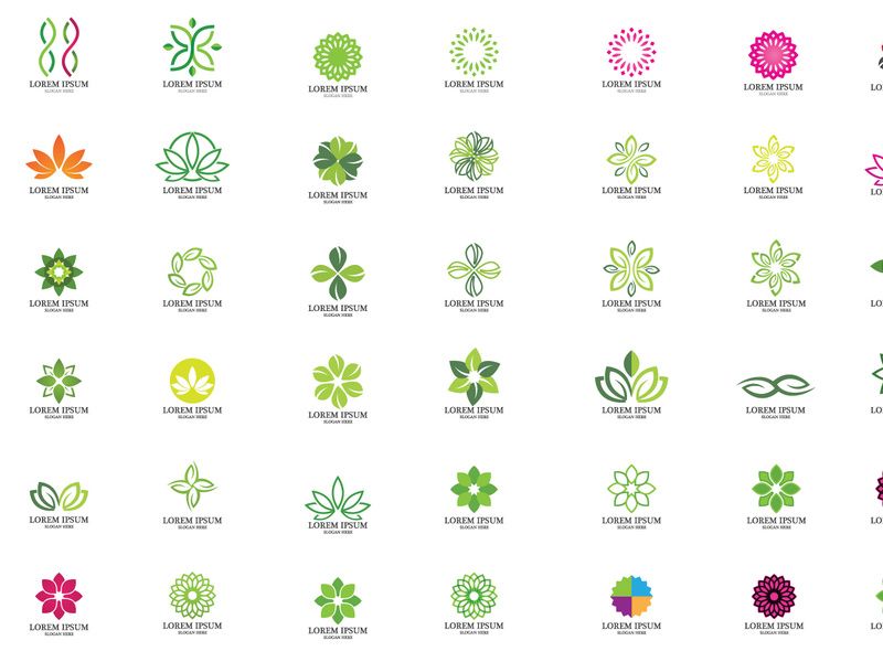 Flower decoration ornament leaf logo vector