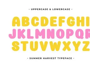 Summer Harvest - Playful Display Font