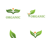 Landscape design  garden  Plant  nature and ecology vector logo