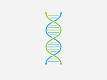 DNA logo vector medical icon