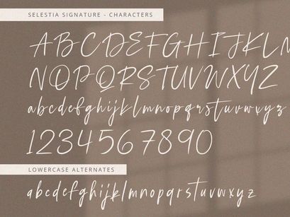 Selestia Signature - Handwritten Font
