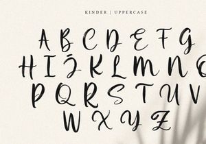 Kinder - Brush Script Font