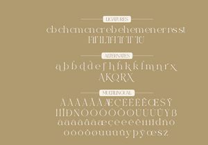Excrallik Modern Serif