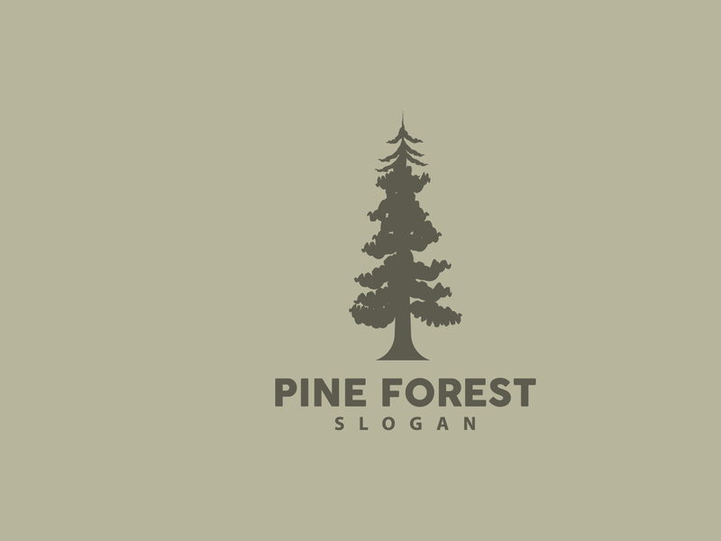 Forest Logo, Vector Forest Wood With Pine Trees