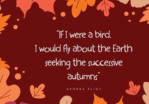 Amberly - Display Font