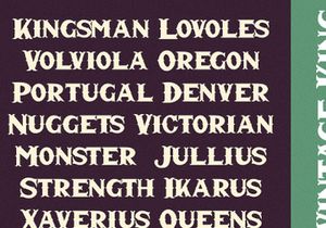 Vintage King - Decorative Serif Font