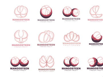 Mangosteen Logo, Mangosteen Flesh Illustration preview picture